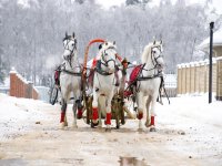 Кыш бабай Чакмагышта